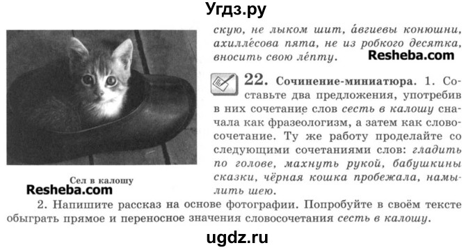 ГДЗ (Учебник) по русскому языку 8 класс С.И. Львова / упражнение номер / 22