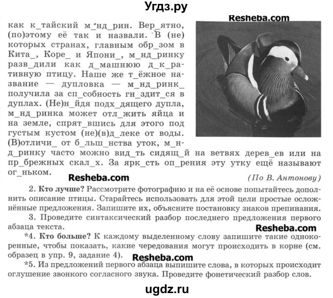 ГДЗ (Учебник) по русскому языку 8 класс С.И. Львова / упражнение номер / 484(продолжение 2)