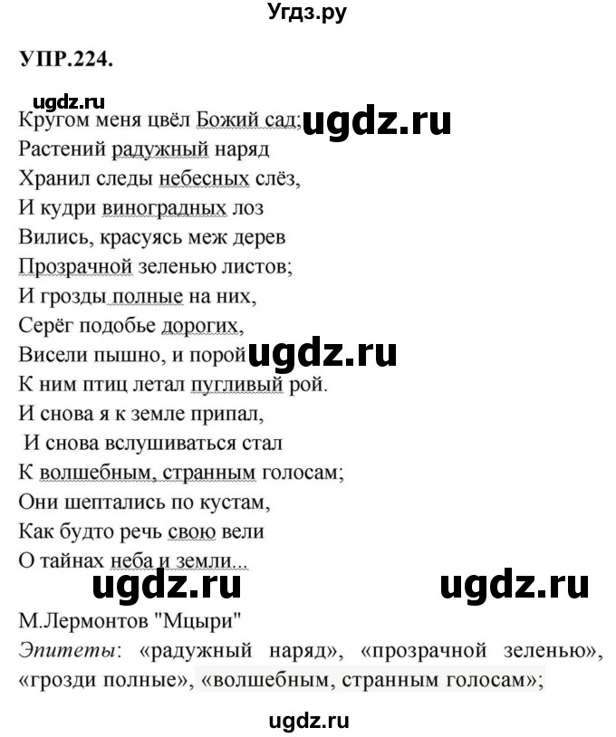 ГДЗ (Решебник к учебнику 2023) по русскому языку 8 класс С.Г. Бархударов / упражнение / 224