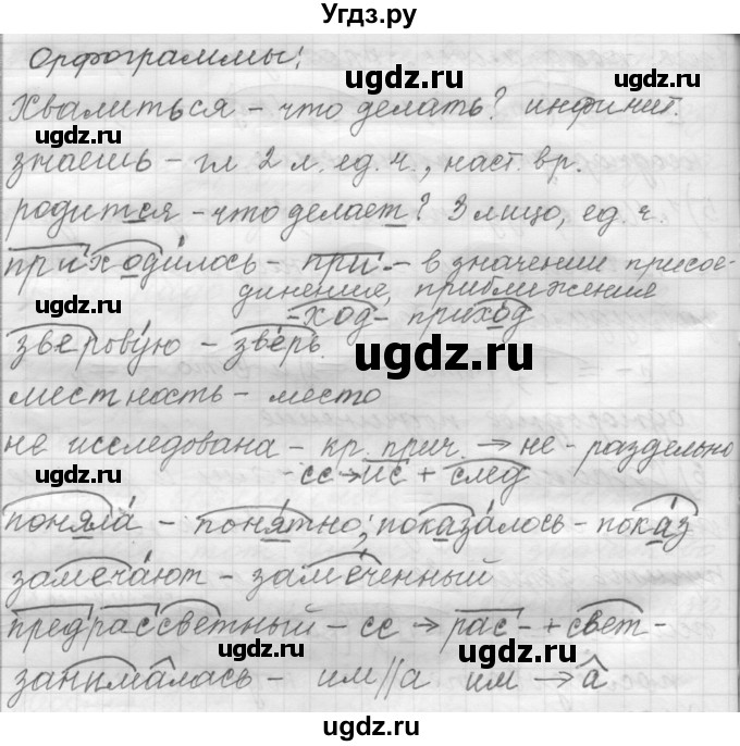 ГДЗ (Решебник к учебнику 2015) по русскому языку 9 класс (Практика) Ю.С. Пичугов / упражнение / 113(продолжение 3)