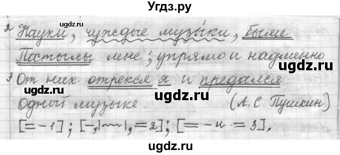 ГДЗ (Решебник к учебнику 2015) по русскому языку 9 класс (Практика) Ю.С. Пичугов / упражнение / 207(продолжение 2)