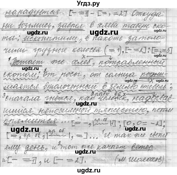 ГДЗ (Решебник к учебнику 2015) по русскому языку 9 класс (Практика) Ю.С. Пичугов / упражнение / 227(продолжение 2)