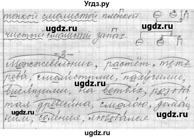 ГДЗ (Решебник к учебнику 2015) по русскому языку 9 класс (Практика) Ю.С. Пичугов / упражнение / 26(продолжение 4)