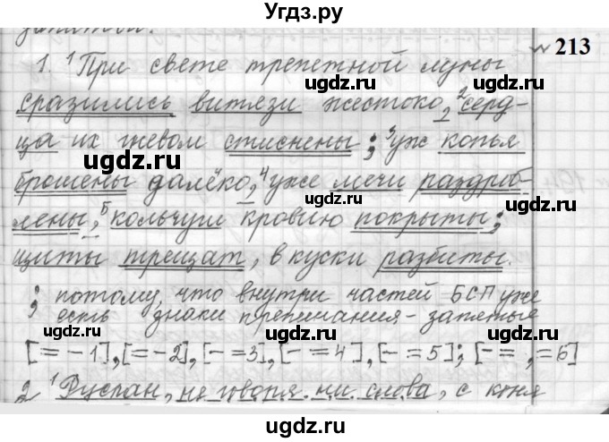 ГДЗ (Решебник к учебнику 2022) по русскому языку 9 класс (Практика) Ю.С. Пичугов / упражнение / 213