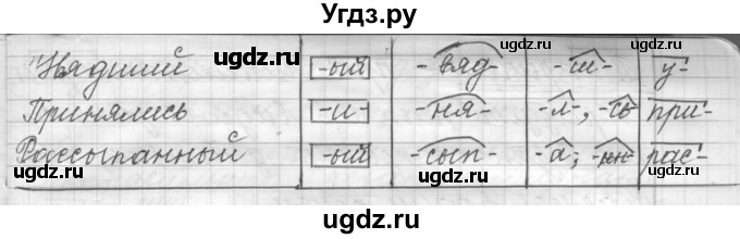 ГДЗ (Решебник к учебнику 2022) по русскому языку 9 класс (Практика) Ю.С. Пичугов / упражнение / 365(продолжение 2)