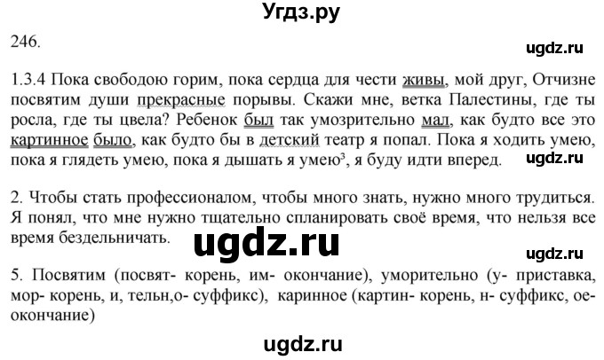 ГДЗ (Решебник к учебнику 2018) по русскому языку 9 класс М.М. Разумовская / упражнение / 246