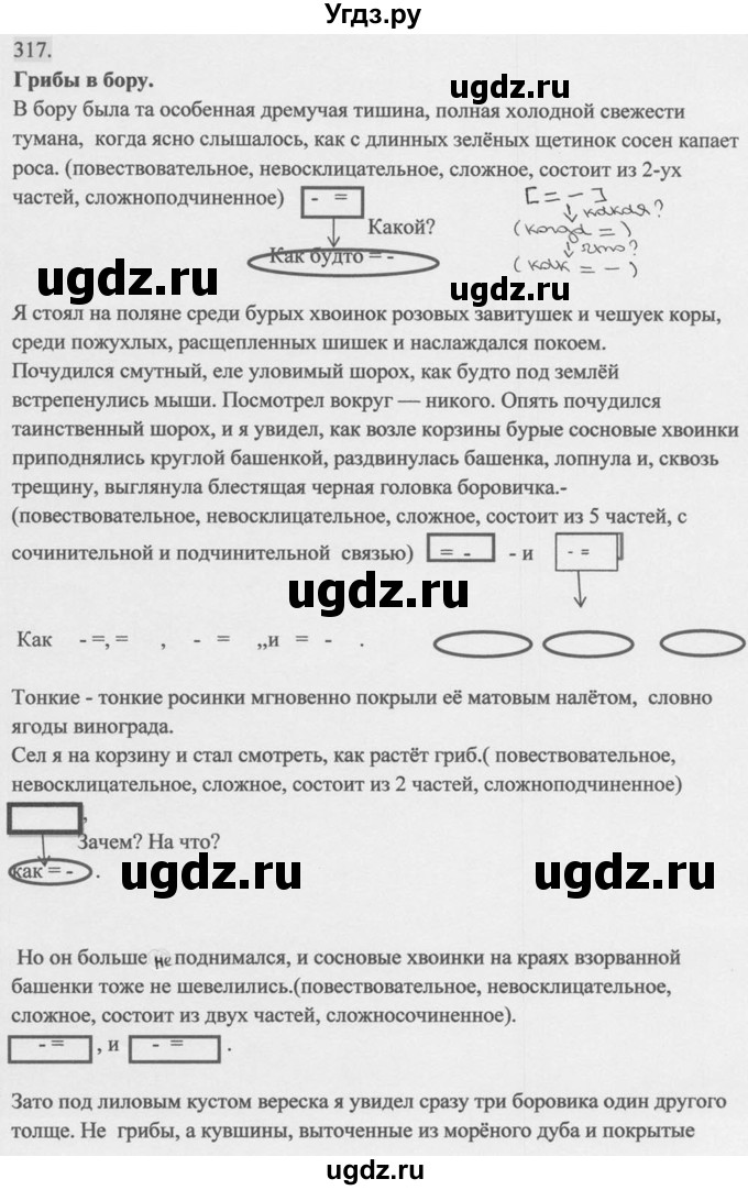 ГДЗ (Решебник к учебнику 2014) по русскому языку 9 класс М.М. Разумовская / упражнение / 317