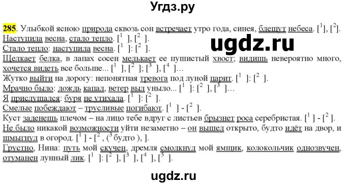 ГДЗ (Решебник к учебнику 2022) по русскому языку 9 класс М.М. Разумовская / упражнение / 285