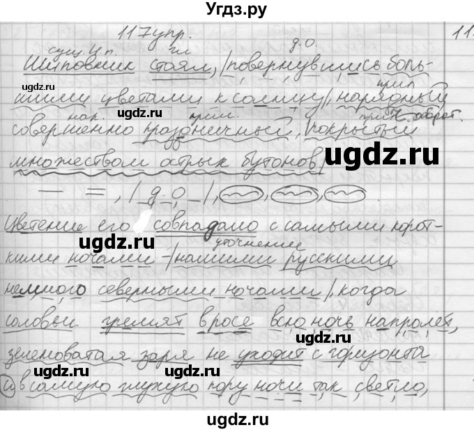 ГДЗ (решебник) по русскому языку 10 класс Власенков А.И. / упражнение номер / 117(продолжение 2)