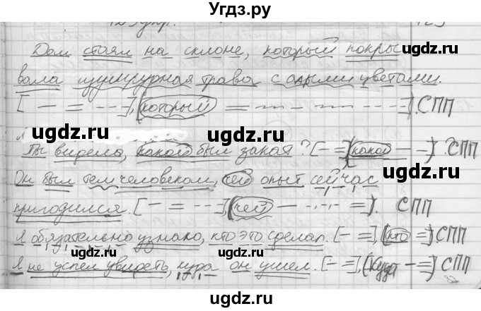 ГДЗ (решебник) по русскому языку 10 класс Власенков А.И. / упражнение номер / 123(продолжение 2)