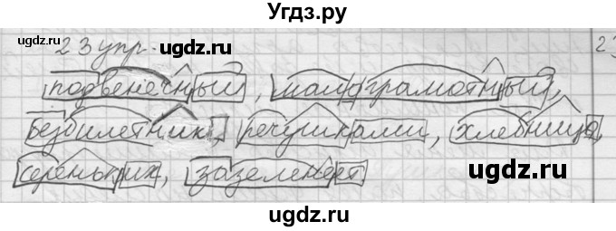 ГДЗ (решебник) по русскому языку 10 класс Власенков А.И. / упражнение номер / 23