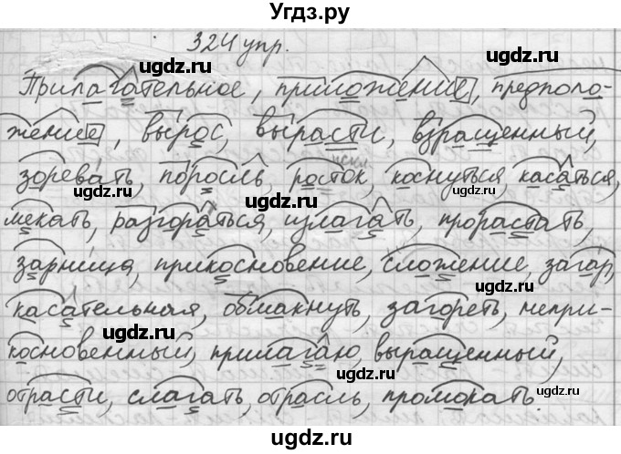 ГДЗ (решебник) по русскому языку 10 класс Власенков А.И. / упражнение номер / 324(продолжение 2)