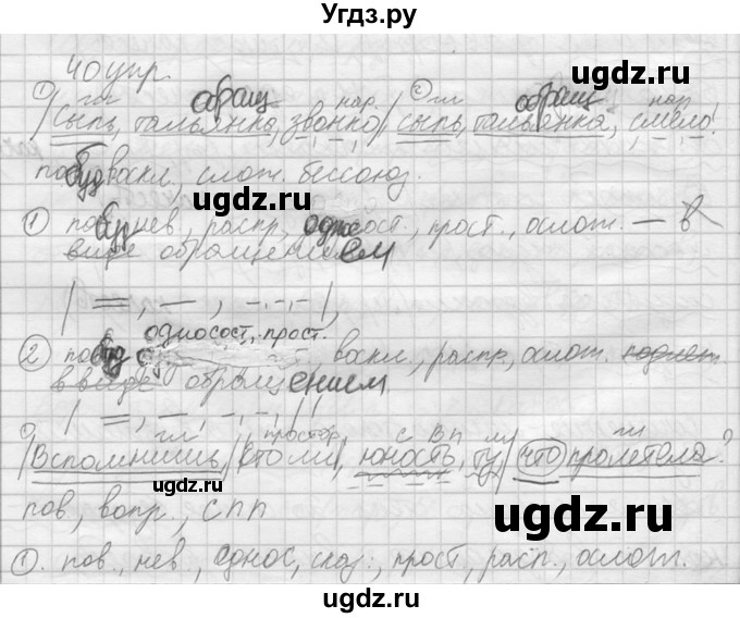 ГДЗ (решебник) по русскому языку 10 класс Власенков А.И. / упражнение номер / 40(продолжение 2)