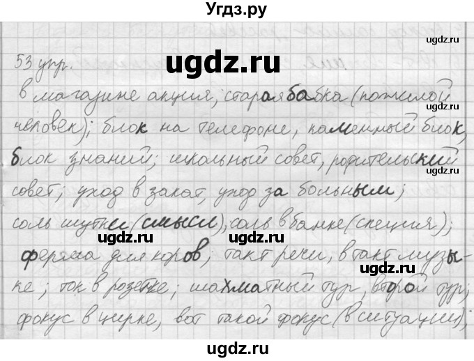 ГДЗ (решебник) по русскому языку 10 класс Власенков А.И. / упражнение номер / 53