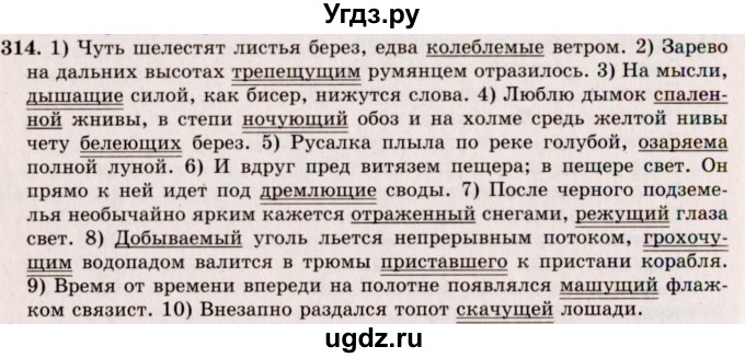 ГДЗ (Решебник №2) по русскому языку 10 класс В.Ф. Греков / номер упражнения / 314