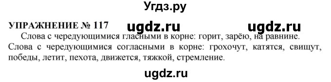 ГДЗ (Решебник к учебнику 2022) по русскому языку 10 класс Н.Г. Гольцова / учебник 2022 / часть 1 / упражнение / 117