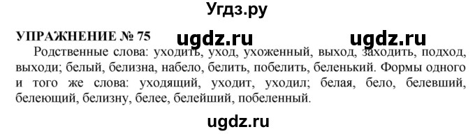 ГДЗ (Решебник №1 к учебнику 2019) по русскому языку 10 класс Н.Г. Гольцова / учебник 2019. упражнение / 75