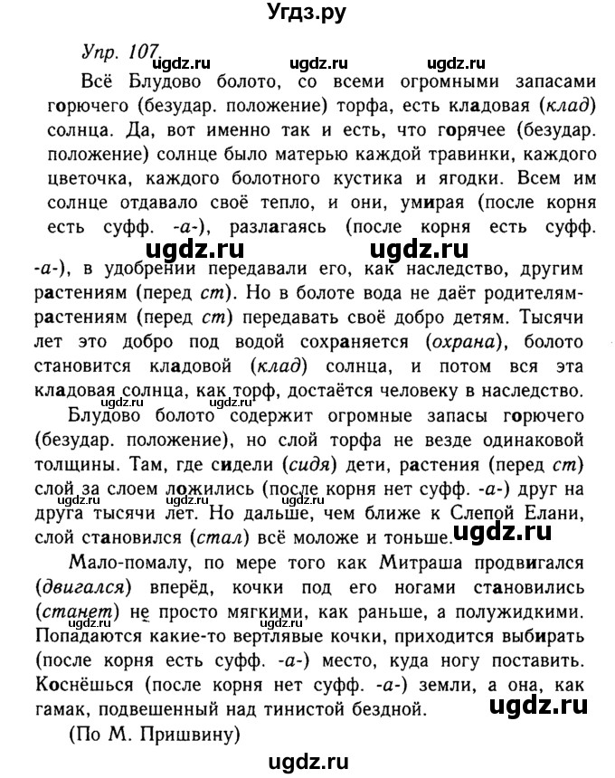 ГДЗ (Решебник №2 к учебнику 2019) по русскому языку 10 класс Н.Г. Гольцова / учебник 2019. упражнение / 107