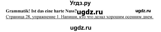 ГДЗ (Решебник) по немецкому языку 6 класс (рабочая тетрадь) И.Л. Бим / страница / 28