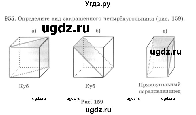 ГДЗ (учебник) по математике 5 класс И.И. Зубарева / номер / 955
