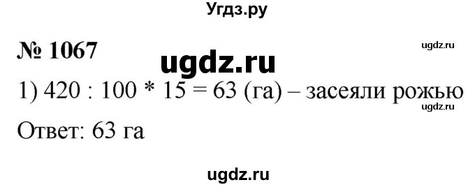 ГДЗ (Решебник к учебнику 2021) по математике 5 класс А.Г. Мерзляк / номер / 1067