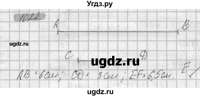 ГДЗ (Решебник №2) по математике 6 класс Никольский С.М. / задание номер / 1022