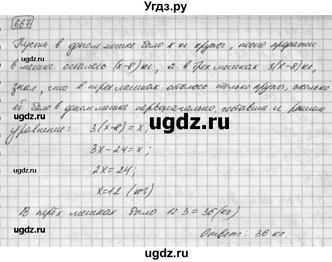 ГДЗ (Решебник) по математике 6 класс Зубарева И.И. / номер / 667