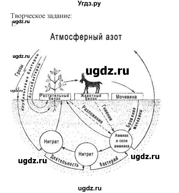 ГДЗ (Решебник № 1) по химии 9 класс Кузнецова Н.Е. / дополнительный материал / стр. 143(продолжение 2)