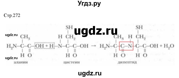 ГДЗ (Решебник № 2) по химии 9 класс Кузнецова Н.Е. / вопрос внутри параграфа / §51(продолжение 2)