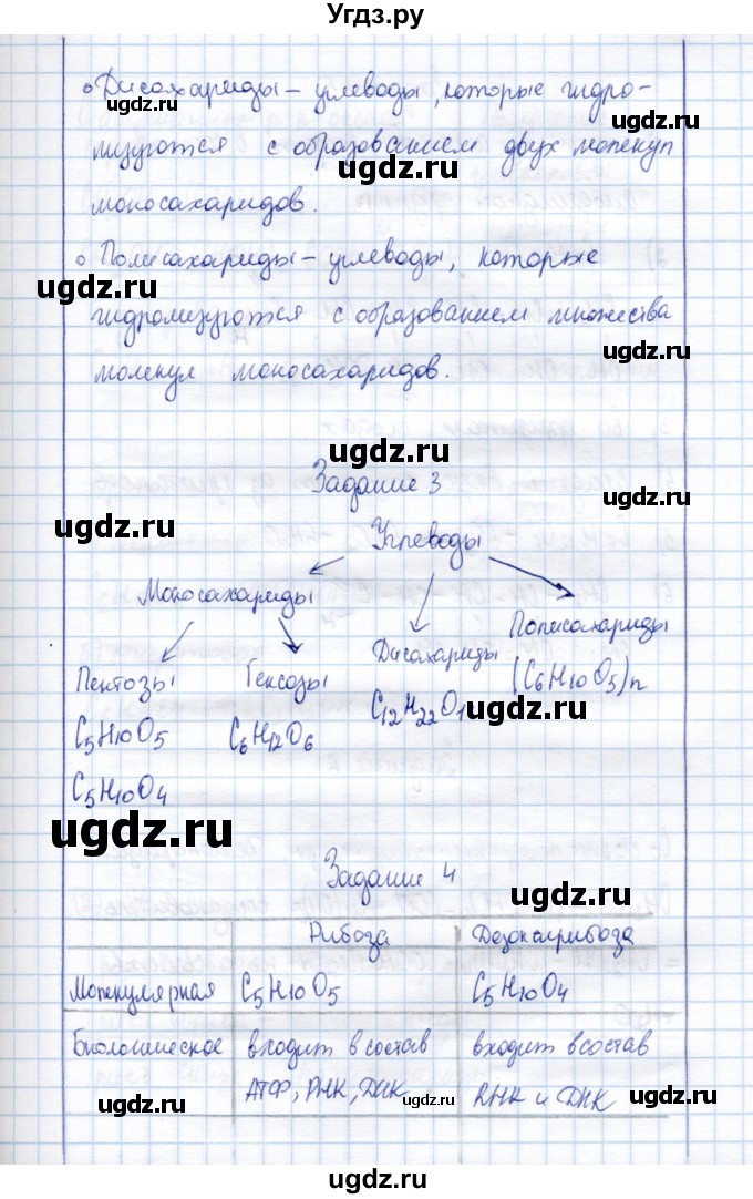 ГДЗ (Решебник) по химии 10 класс (рабочая тетрадь, тестовые задания ЕГЭ) Габриелян О.С. / тема (раздел) / 16(продолжение 2)