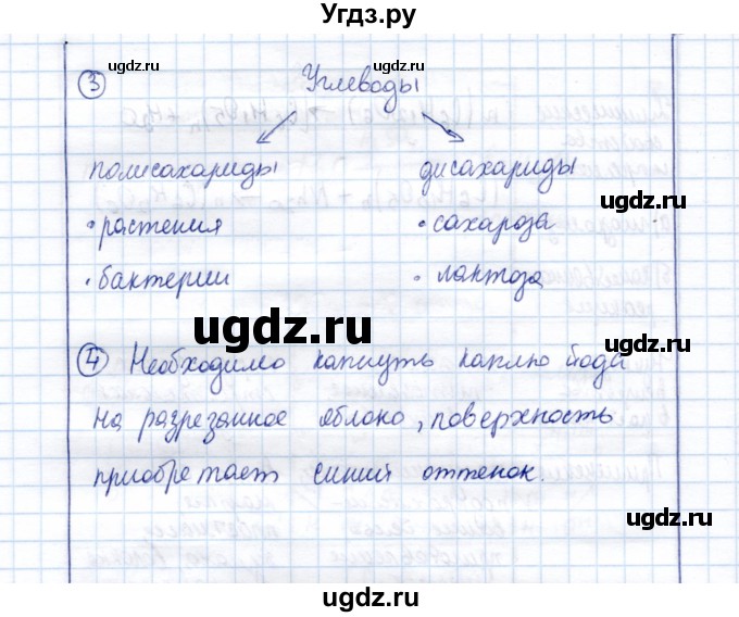 ГДЗ (Решебник) по химии 10 класс (рабочая тетрадь, тестовые задания ЕГЭ) Габриелян О.С. / тема (раздел) / 17(продолжение 4)