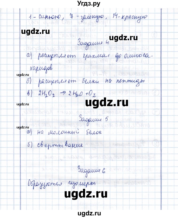 ГДЗ (Решебник) по химии 10 класс (рабочая тетрадь, тестовые задания ЕГЭ) Габриелян О.С. / тема (раздел) / 25(продолжение 3)