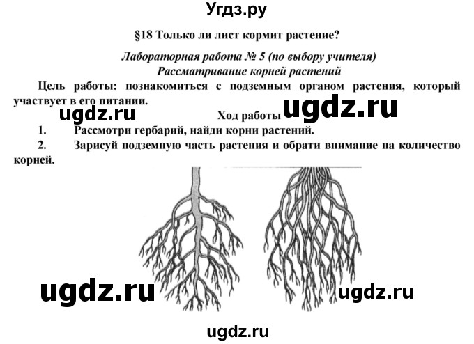 ГДЗ (Решебник) по биологии 5 класс Т.С. Сухова / §-№ / § 18