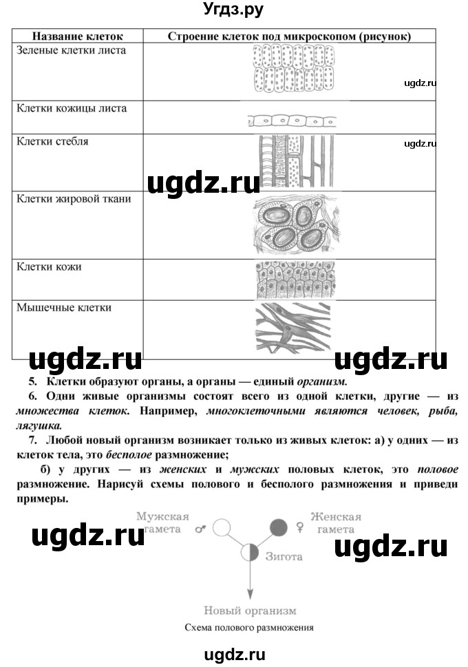 ГДЗ (Решебник) по биологии 5 класс Т.С. Сухова / §-№ / § 28(продолжение 2)