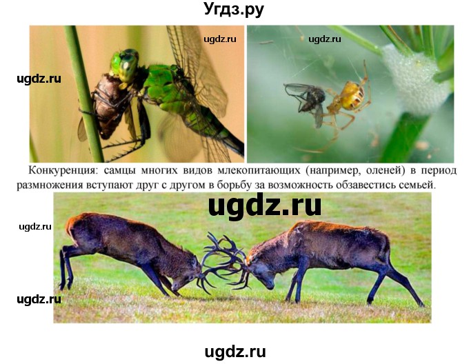 ГДЗ (Решебник) по биологии 5 класс Т.С. Сухова / §-№ / § 48(продолжение 3)