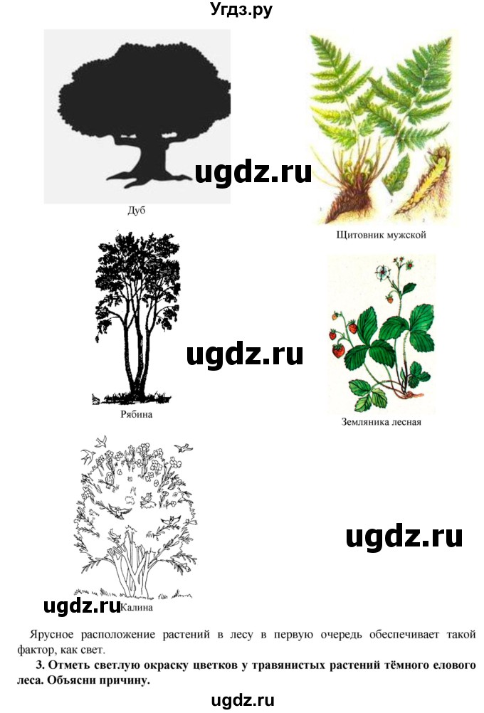 ГДЗ (Решебник) по биологии 5 класс Т.С. Сухова / экскурсия-№ / 3(продолжение 4)