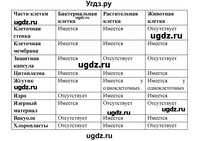 ГДЗ (Решебник) по биологии 5 класс Пономарева И.Н. / подведем итоги / итоги после 23§ / Работа с моделями(продолжение 3)