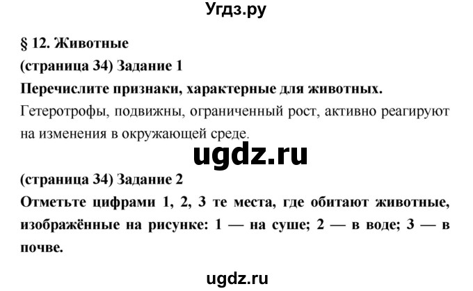 ГДЗ (Решебник) по биологии 5 класс (рабочая тетрадь) Корнилова О.А. / параграф номер / 12