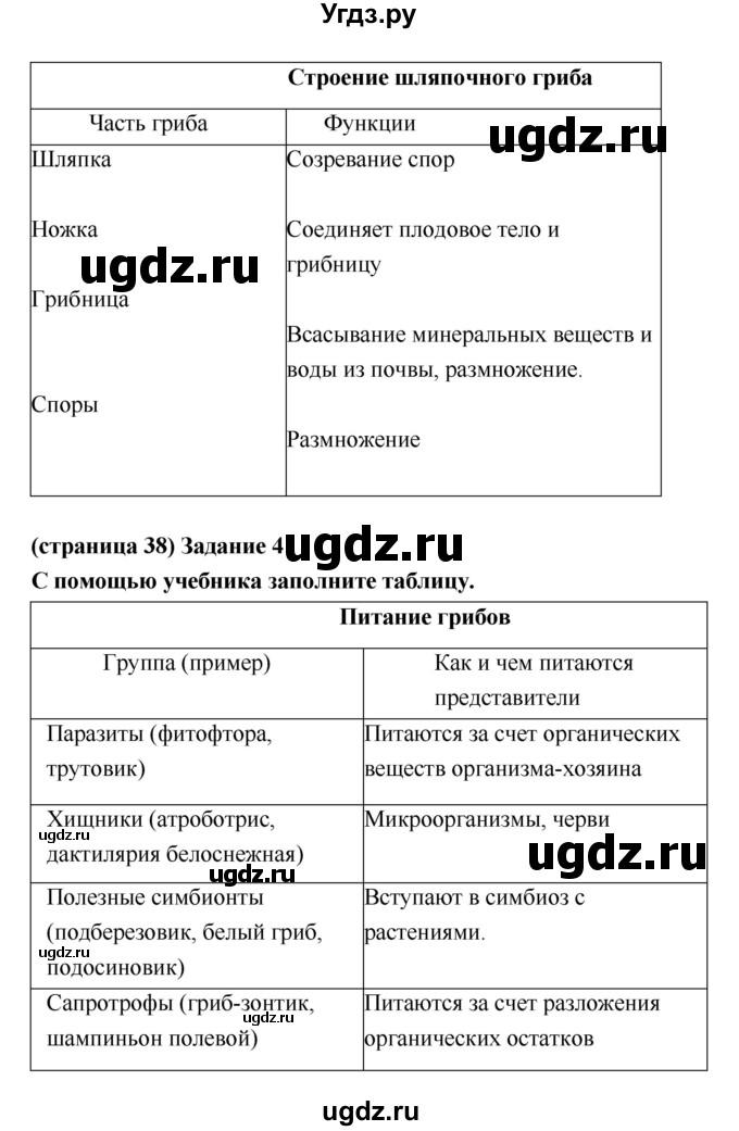 ГДЗ (Решебник) по биологии 5 класс (рабочая тетрадь) Корнилова О.А. / параграф номер / 13(продолжение 2)