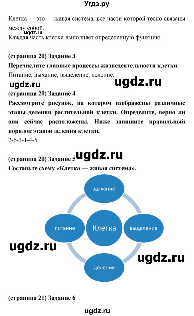 ГДЗ (Решебник) по биологии 5 класс (рабочая тетрадь) Корнилова О.А. / параграф номер / 7(продолжение 2)