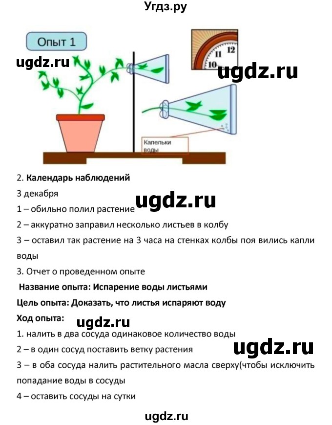 ГДЗ (Решебник) по биологии 5 класс (рабочая тетрадь) Сухова Т.С. / параграф / 23(продолжение 2)