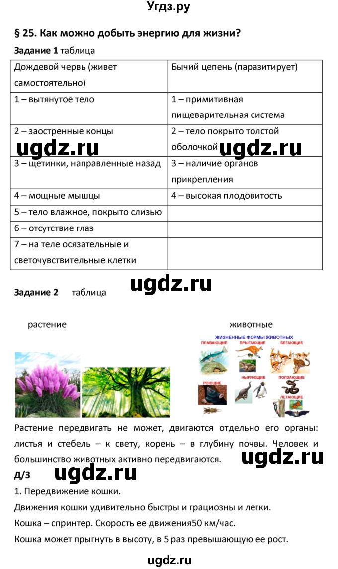 ГДЗ (Решебник) по биологии 5 класс (рабочая тетрадь) Сухова Т.С. / параграф / 25