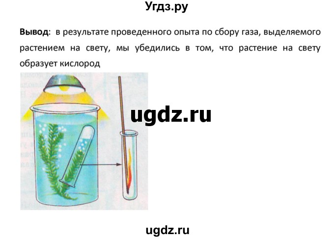 ГДЗ (Решебник) по биологии 5 класс (рабочая тетрадь) Сухова Т.С. / параграф / 32(продолжение 6)