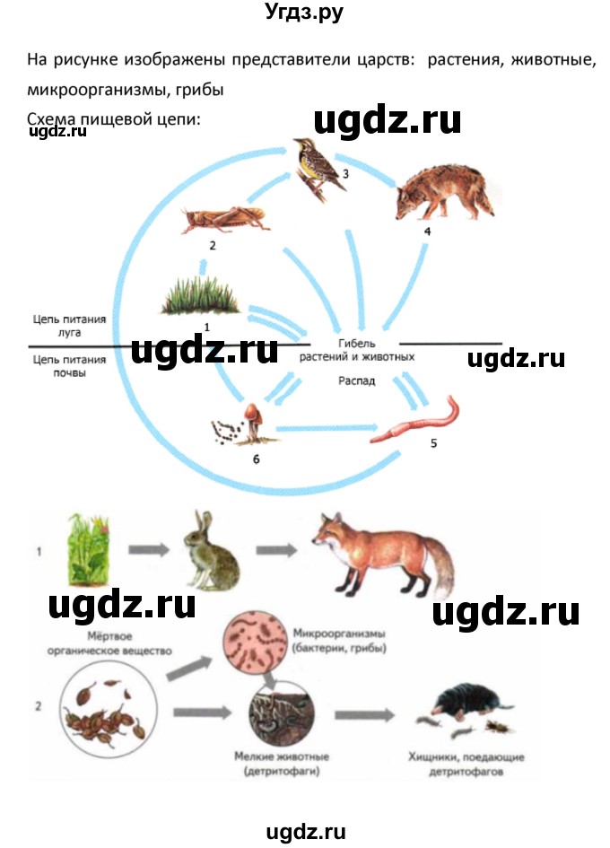 ГДЗ (Решебник) по биологии 5 класс (рабочая тетрадь) Сухова Т.С. / параграф / 44(продолжение 2)