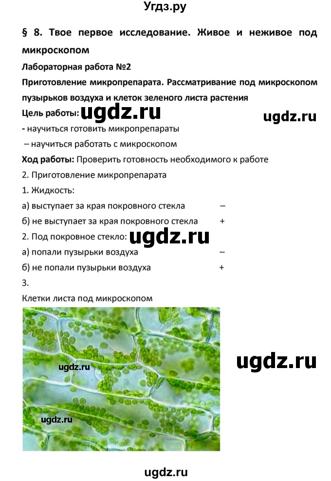 ГДЗ (Решебник) по биологии 5 класс (рабочая тетрадь) Сухова Т.С. / параграф / 8