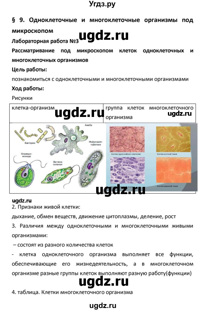 ГДЗ (Решебник) по биологии 5 класс (рабочая тетрадь) Сухова Т.С. / параграф / 9