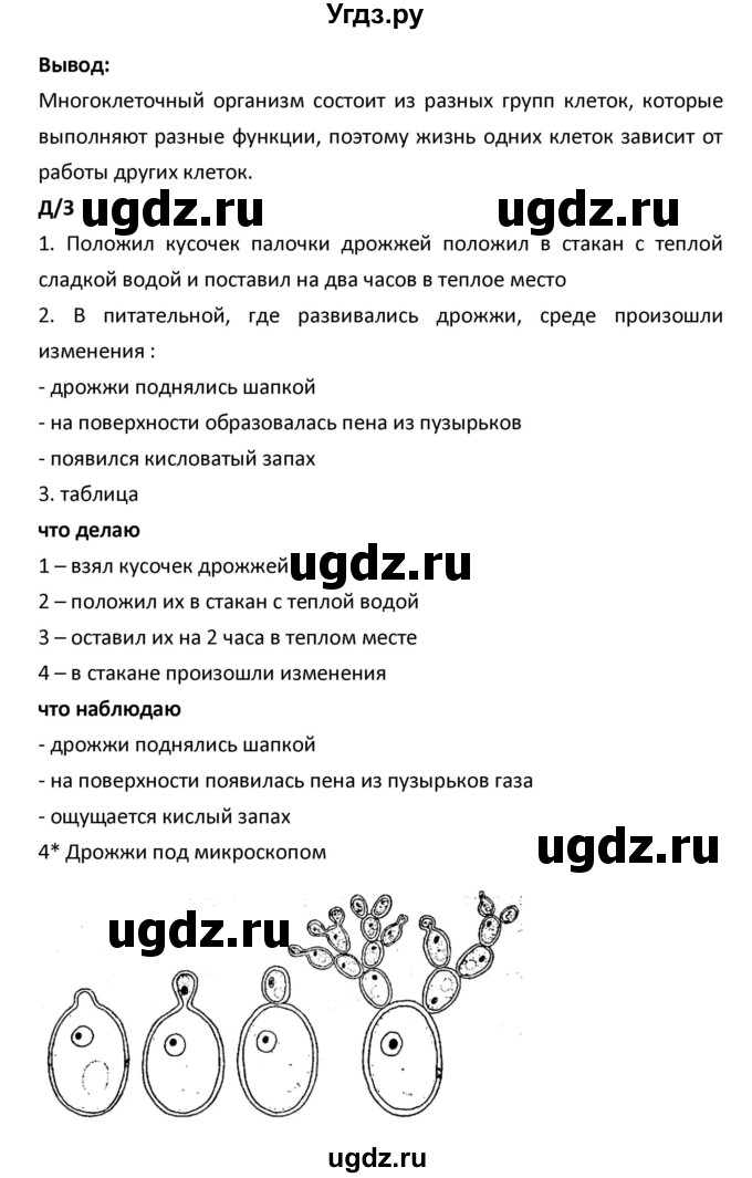 ГДЗ (Решебник) по биологии 5 класс (рабочая тетрадь) Сухова Т.С. / параграф / 9(продолжение 3)