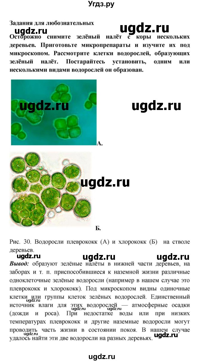 ГДЗ (решебник) по биологии 5 класс В.В. Пасечник / § 18. Водоросли / Задания для любознательных / 1