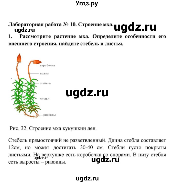 ГДЗ (решебник) по биологии 5 класс В.В. Пасечник / § 20. Мхи / Лабораторная работа № 10 / 1