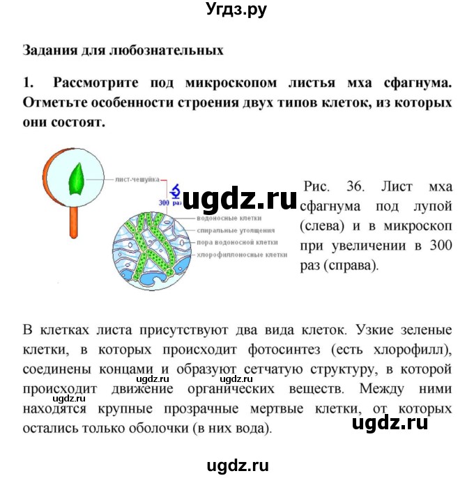 ГДЗ (решебник) по биологии 5 класс В.В. Пасечник / § 20. Мхи / Задания для любознательных / 1